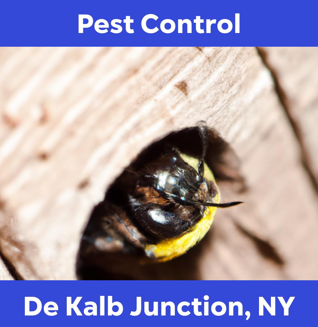 pest control in De Kalb Junction New York