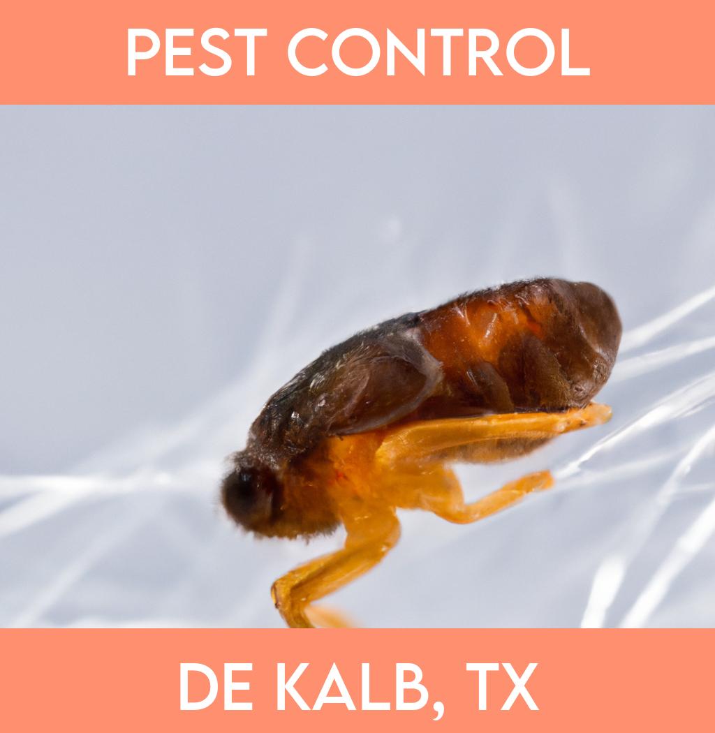 pest control in De Kalb Texas