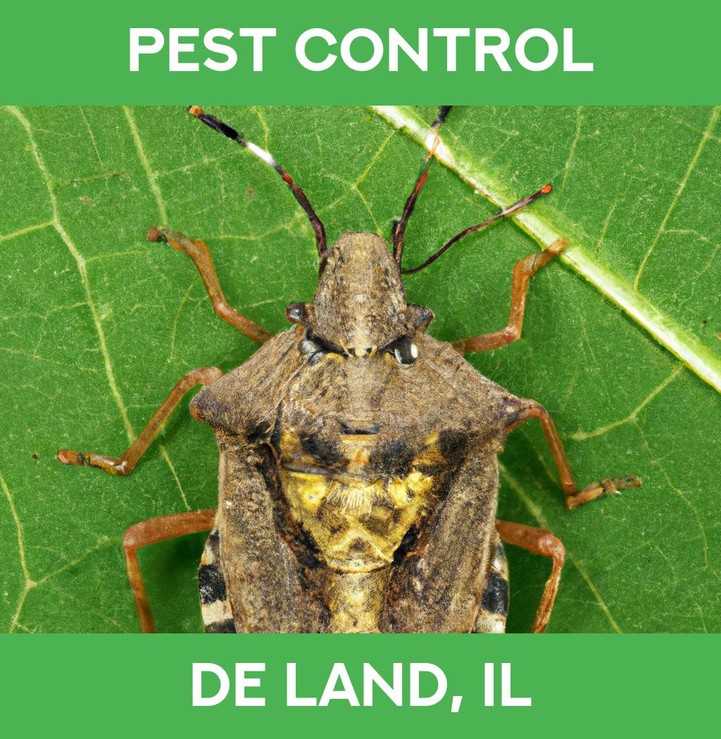 pest control in De Land Illinois