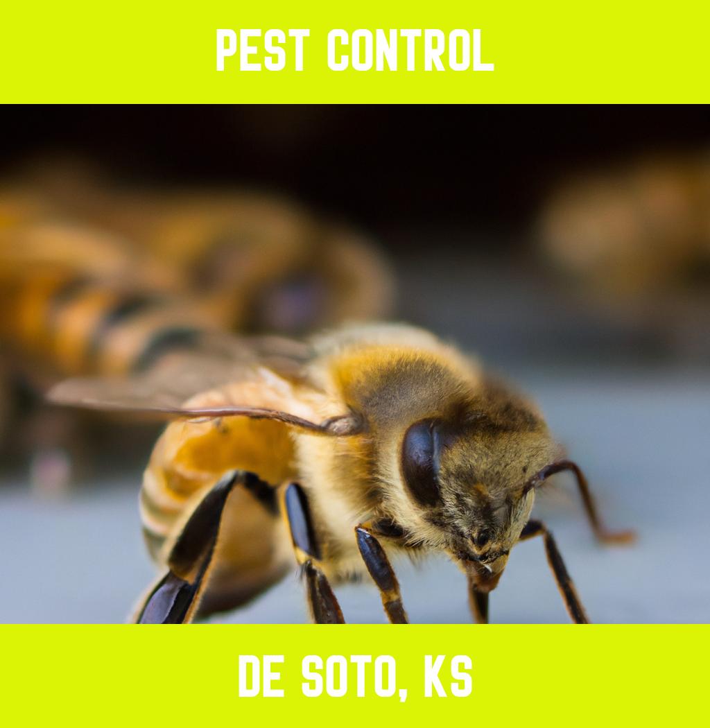 pest control in De Soto Kansas