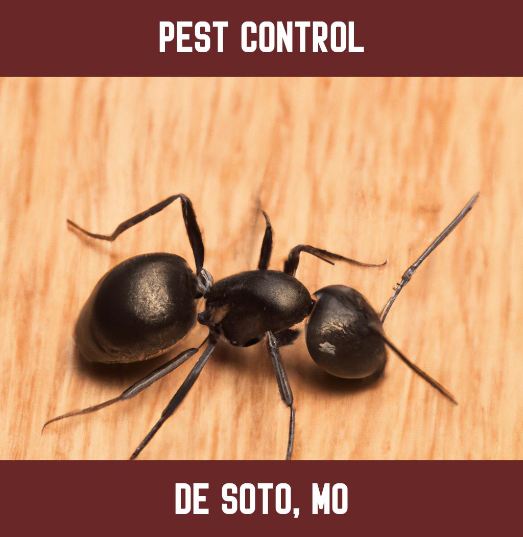 pest control in De Soto Missouri