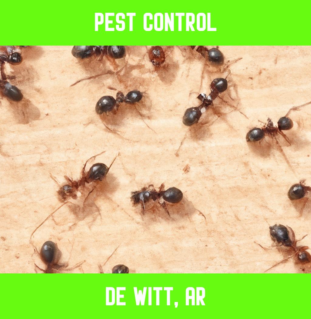 pest control in De Witt Arkansas