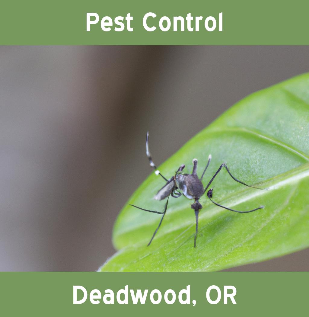 pest control in Deadwood Oregon