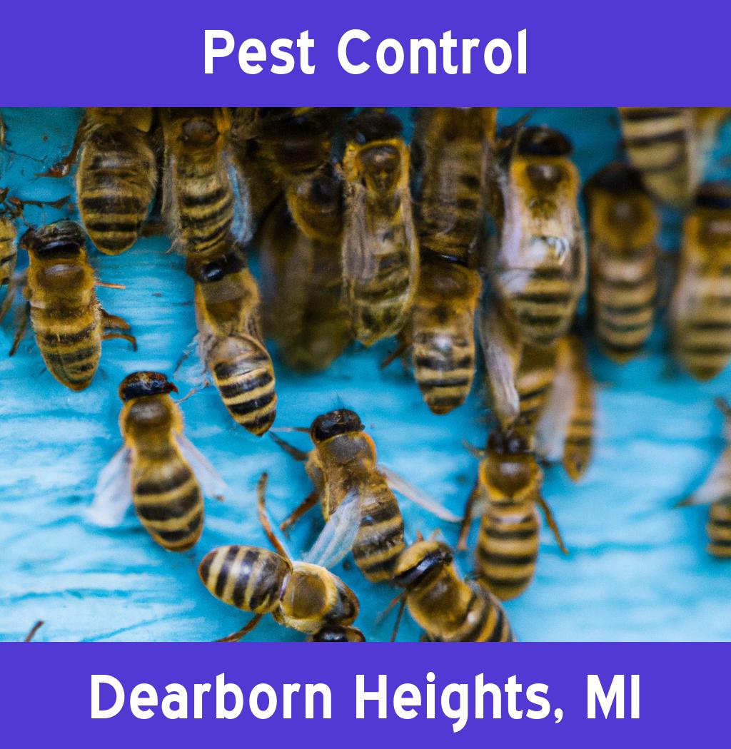 pest control in Dearborn Heights Michigan