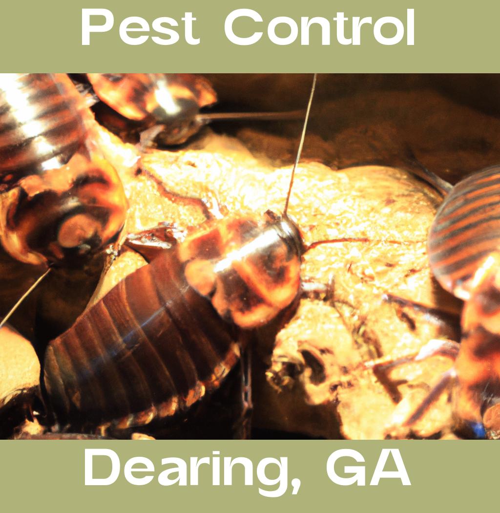 pest control in Dearing Georgia