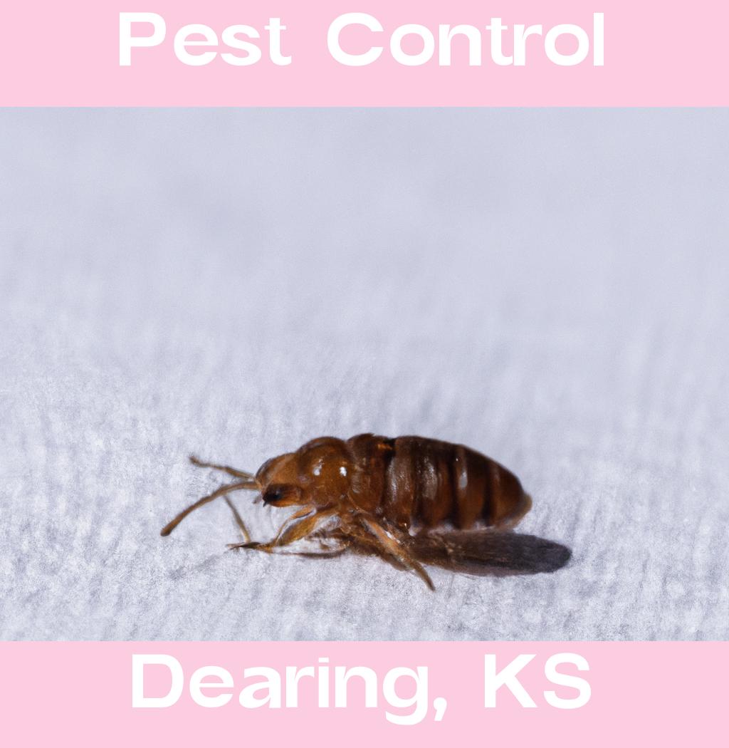 pest control in Dearing Kansas