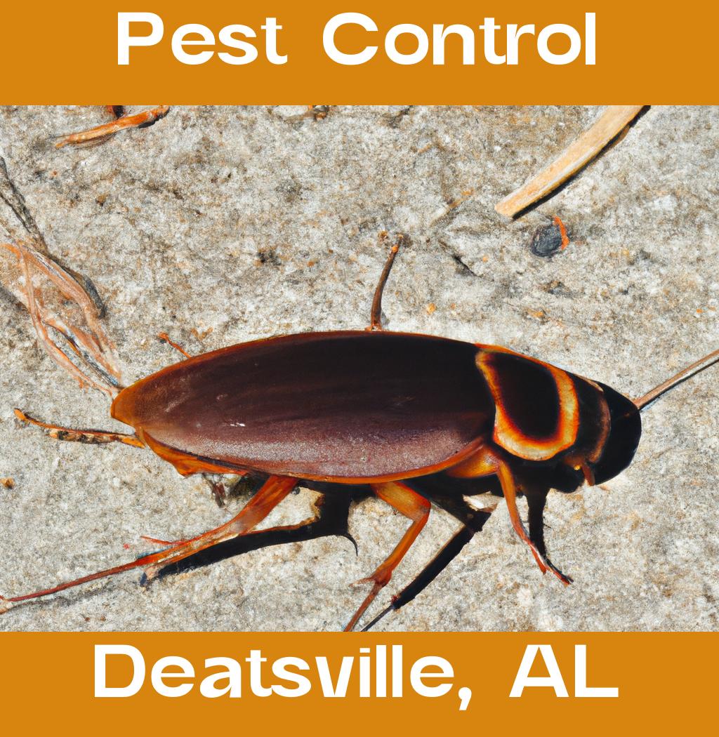 pest control in Deatsville Alabama