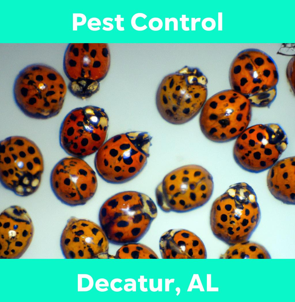 pest control in Decatur Alabama