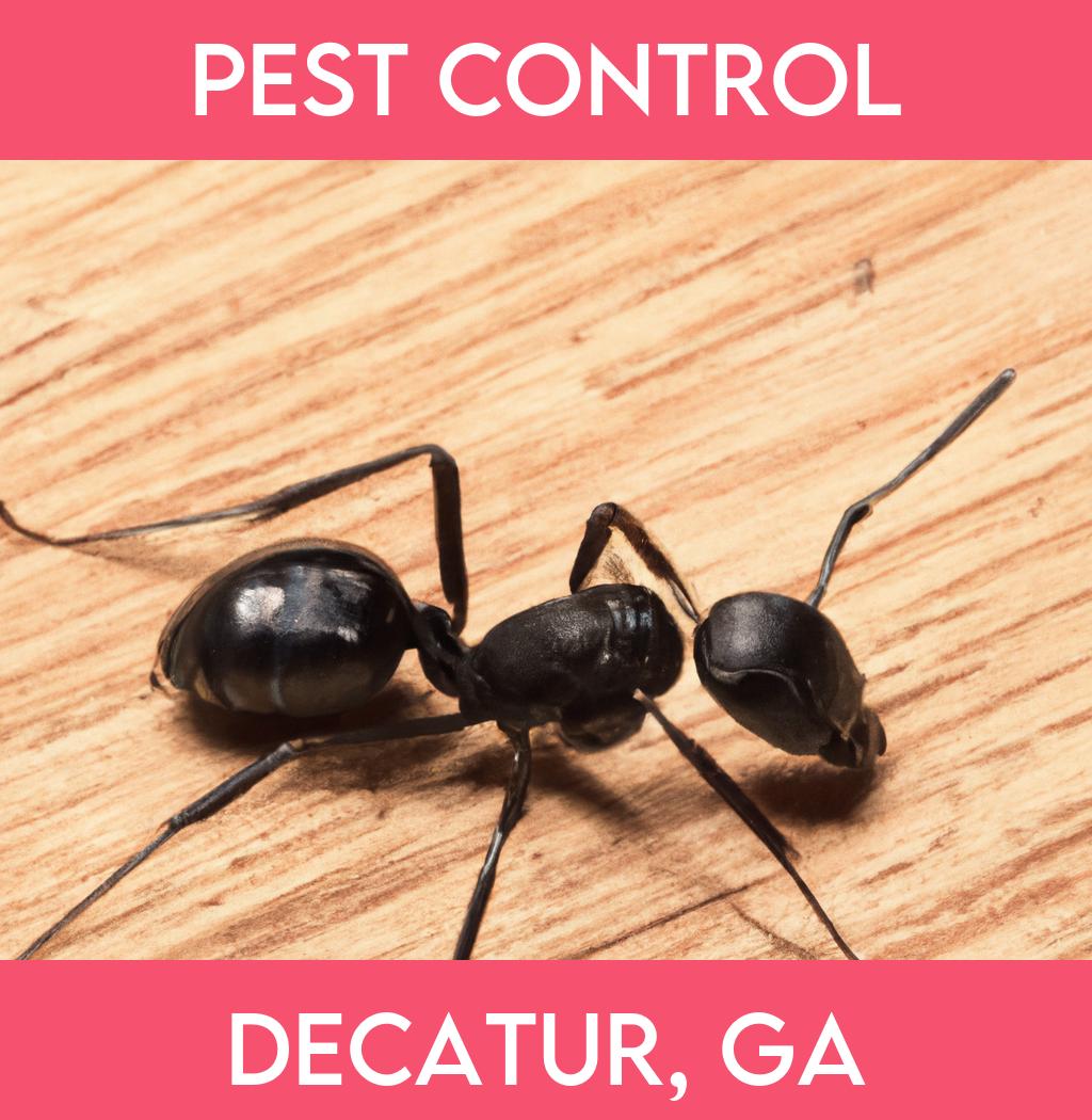pest control in Decatur Georgia
