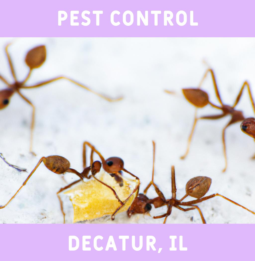 pest control in Decatur Illinois