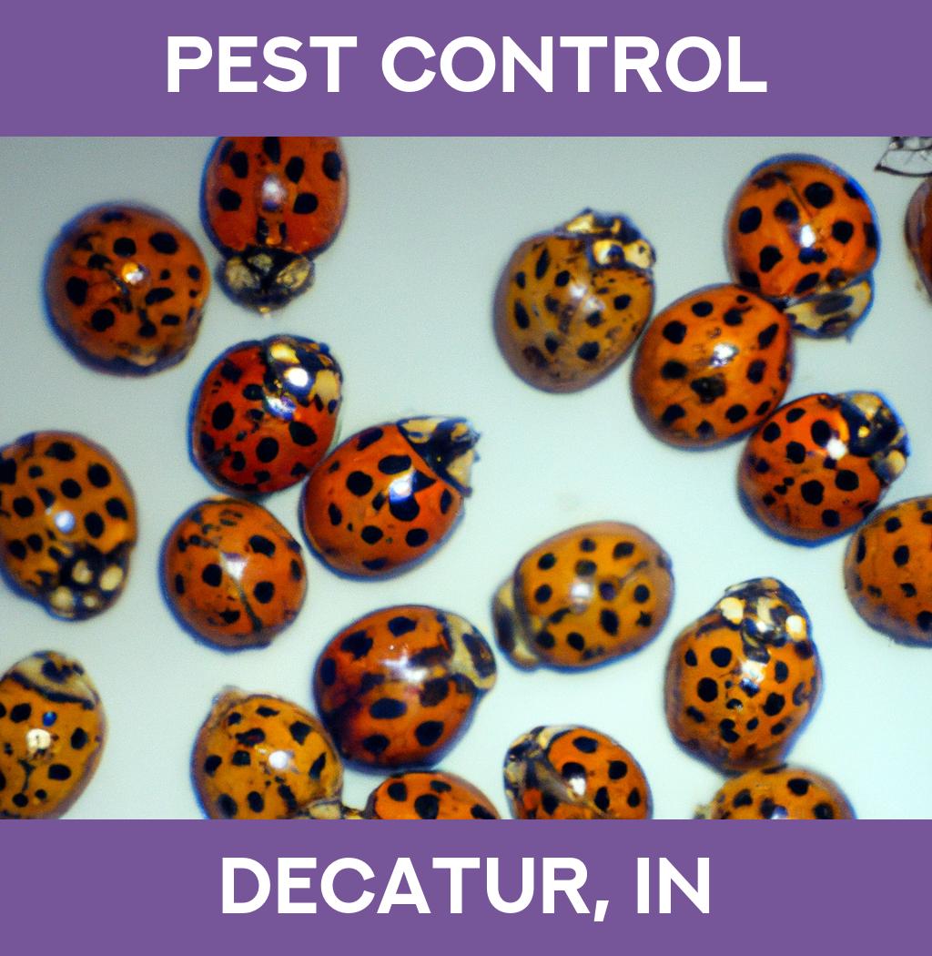 pest control in Decatur Indiana
