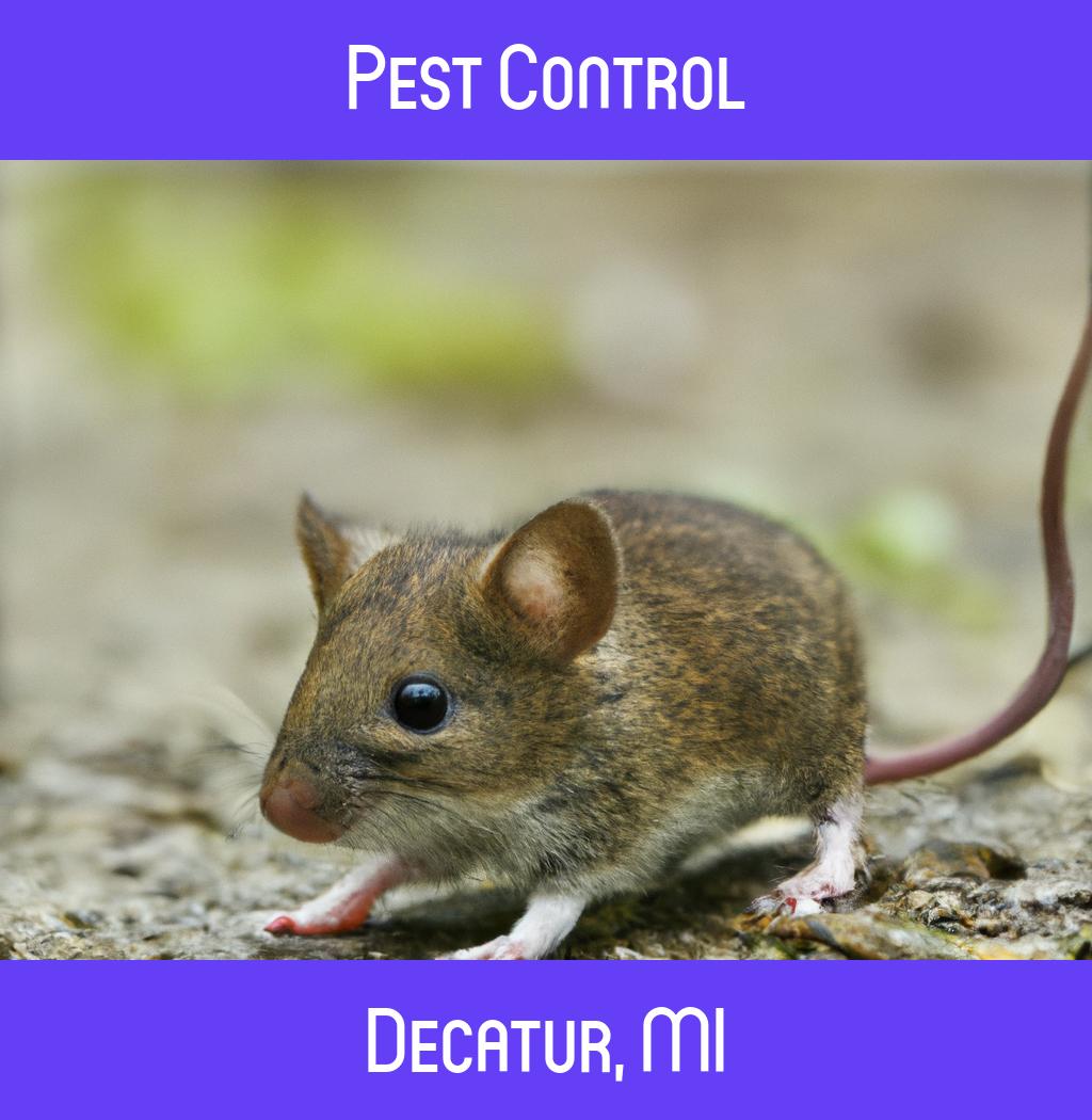 pest control in Decatur Michigan