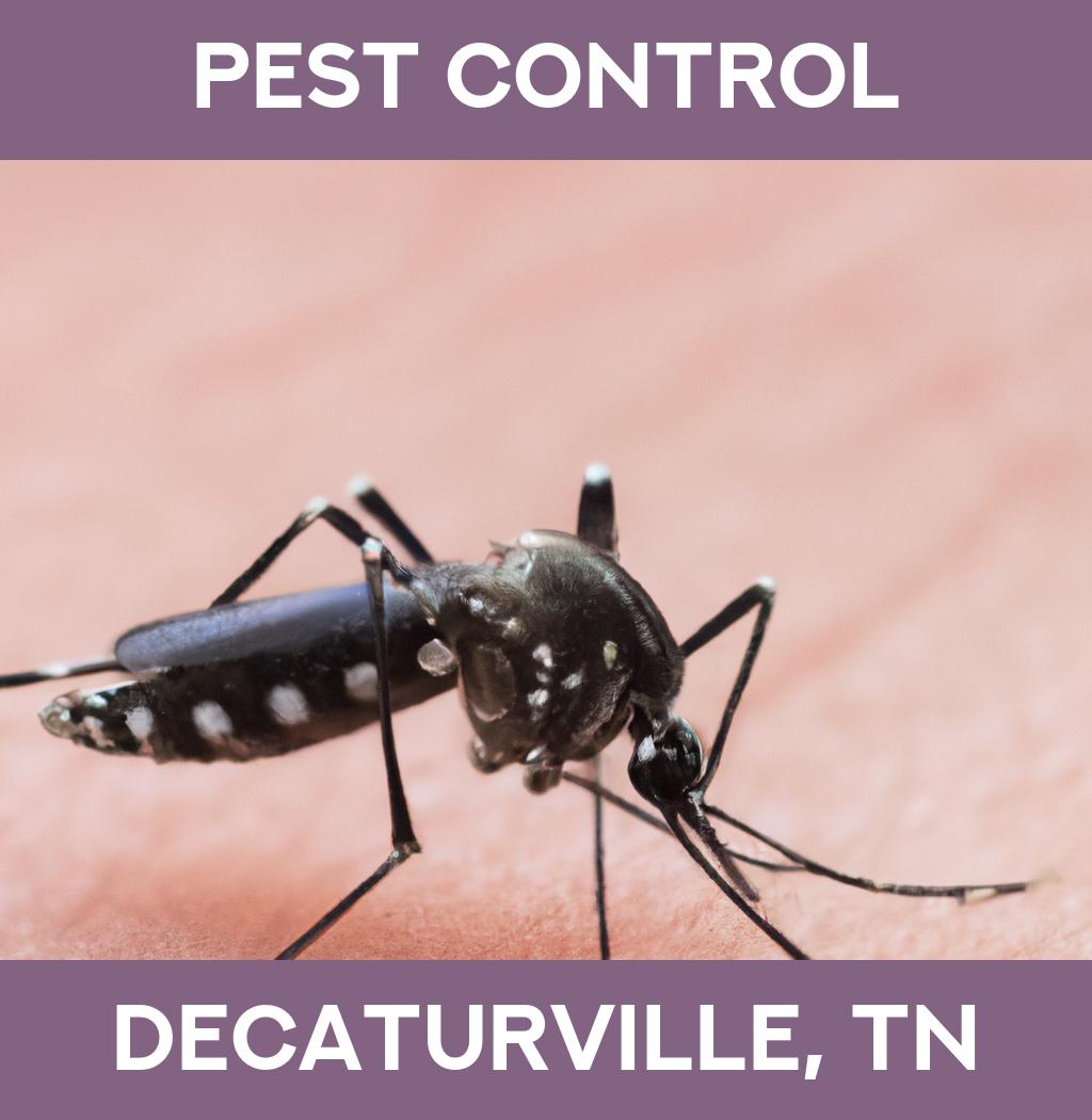 pest control in Decaturville Tennessee