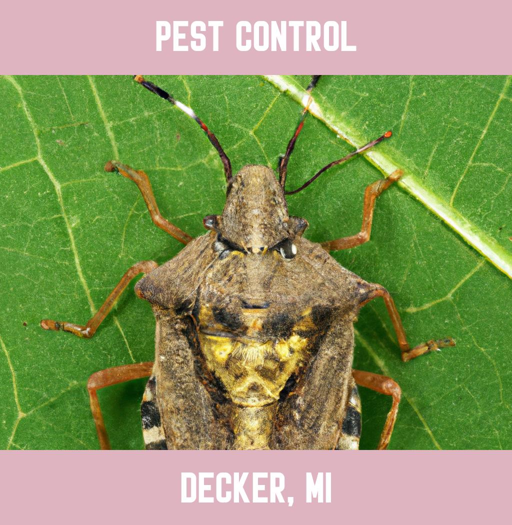 pest control in Decker Michigan