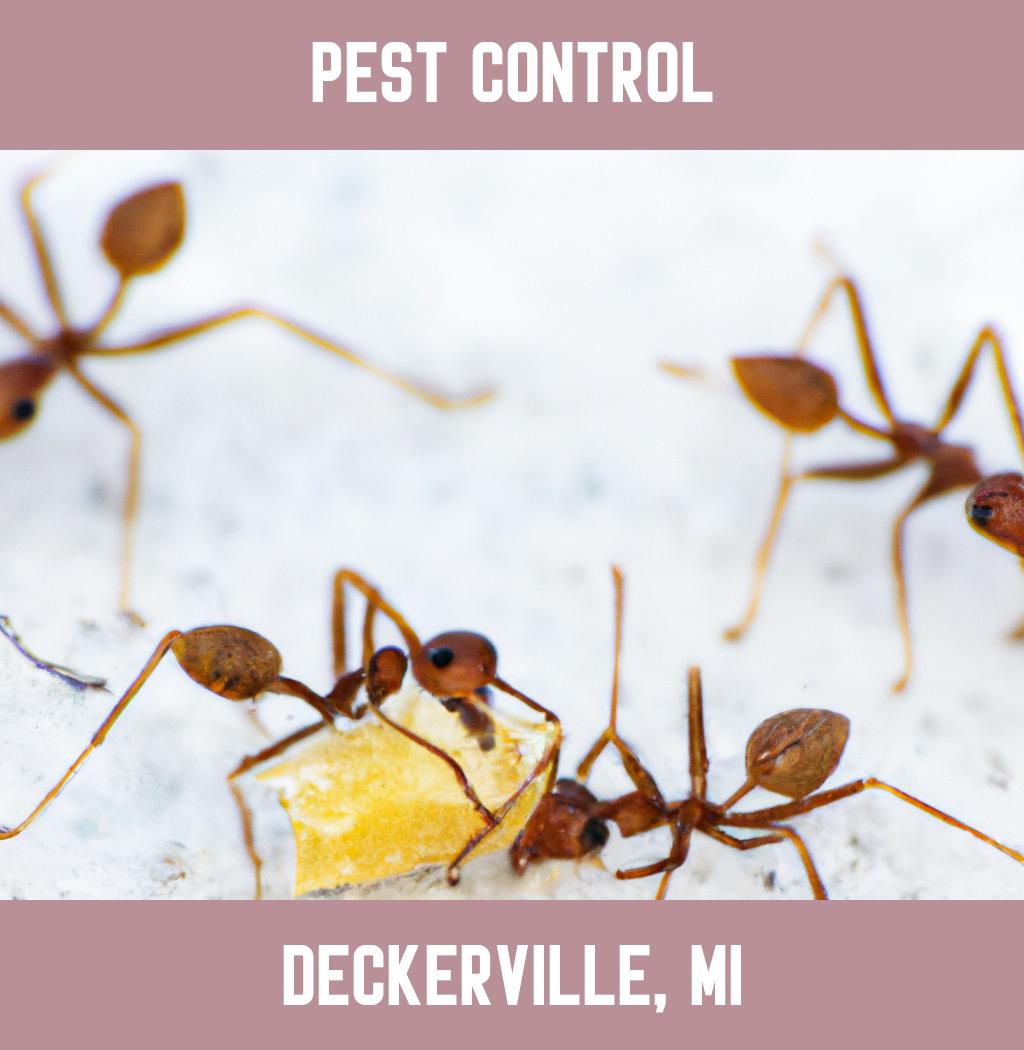 pest control in Deckerville Michigan