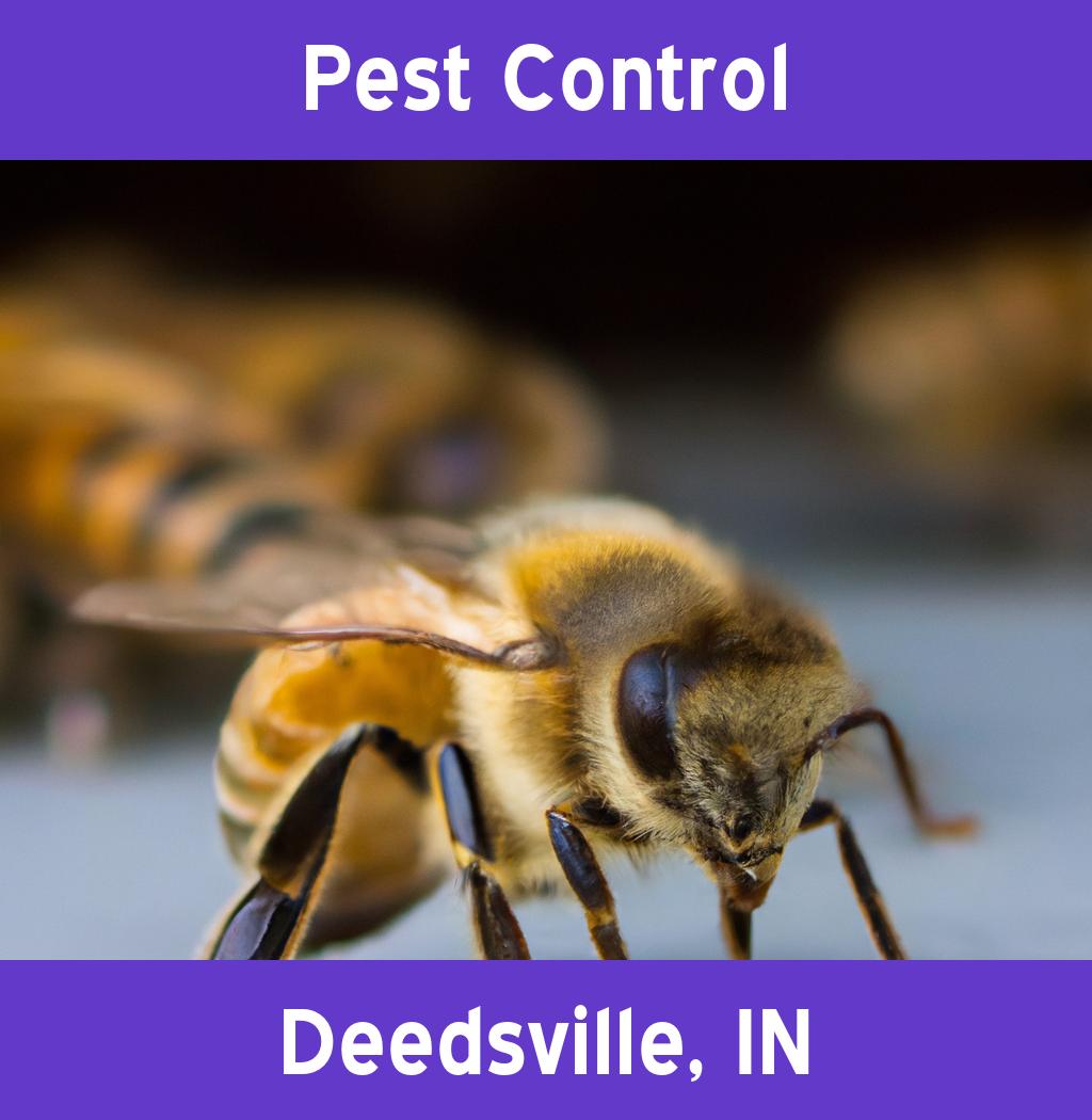 pest control in Deedsville Indiana