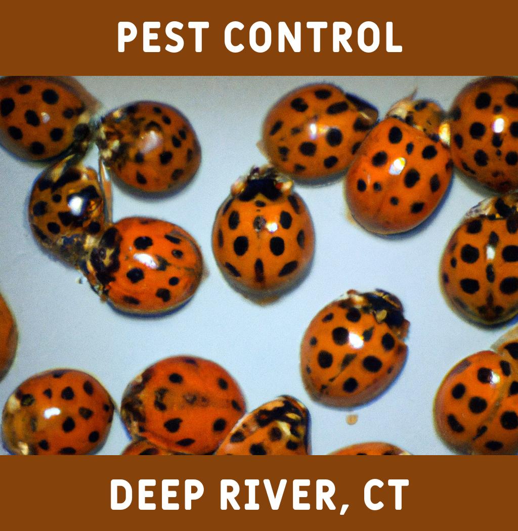 pest control in Deep River Connecticut
