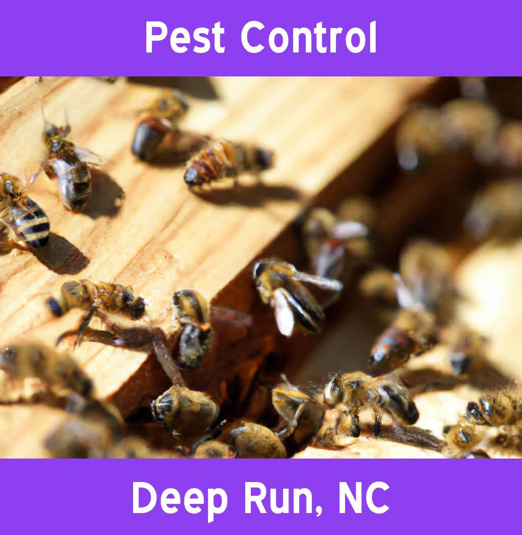 pest control in Deep Run North Carolina
