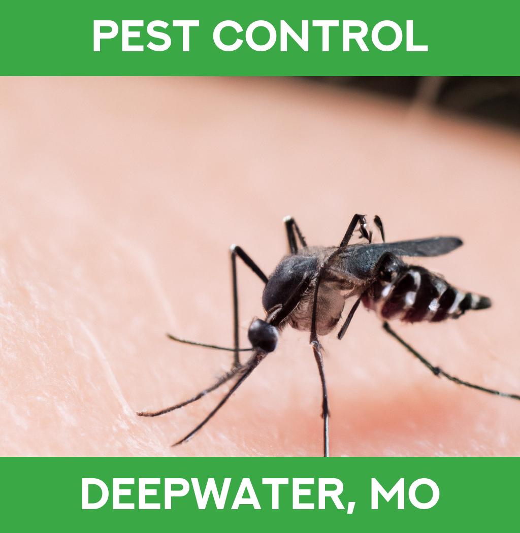 pest control in Deepwater Missouri