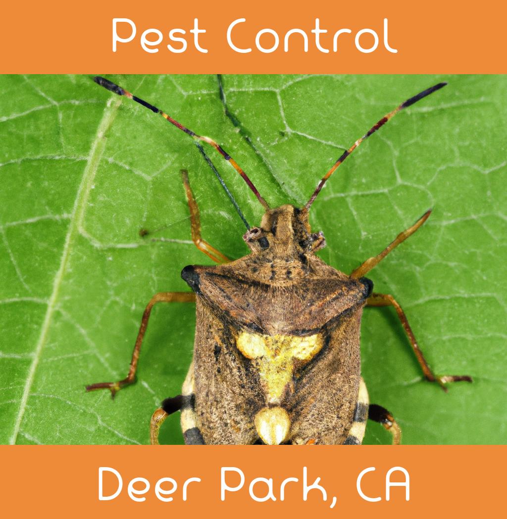 pest control in Deer Park California