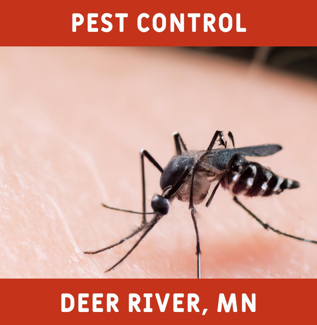 pest control in Deer River Minnesota