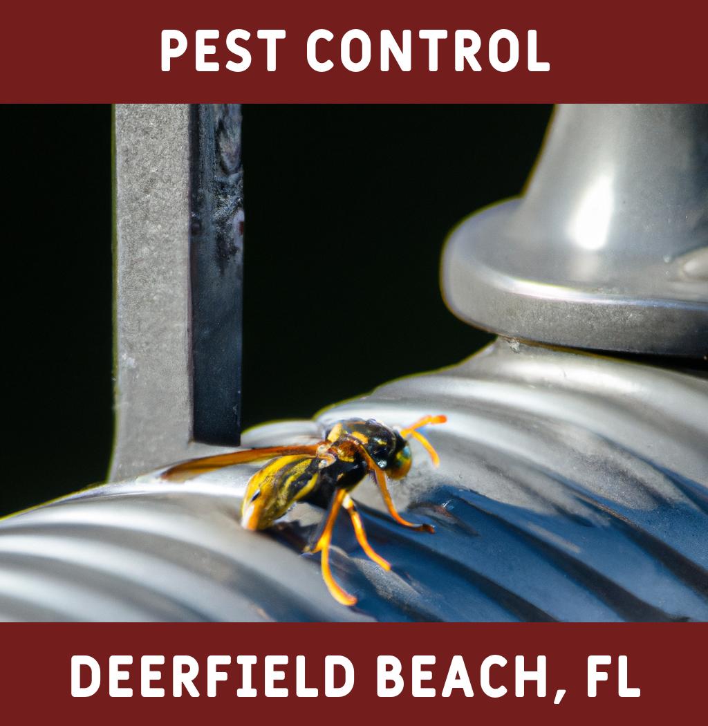pest control in Deerfield Beach Florida