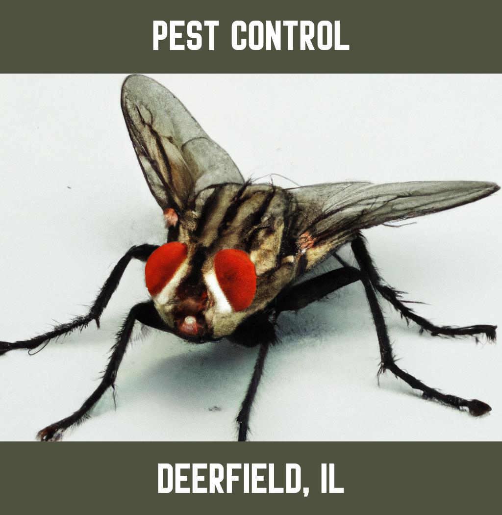 pest control in Deerfield Illinois