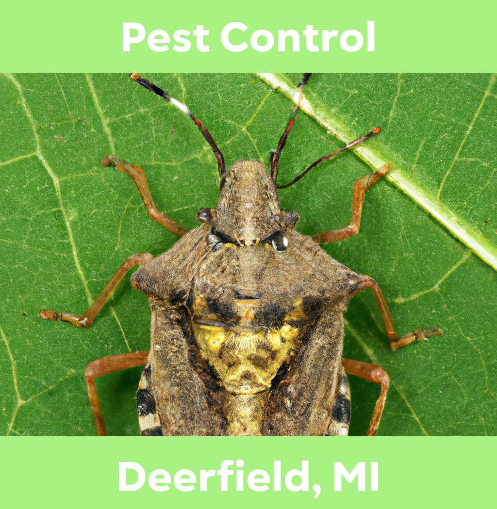 pest control in Deerfield Michigan