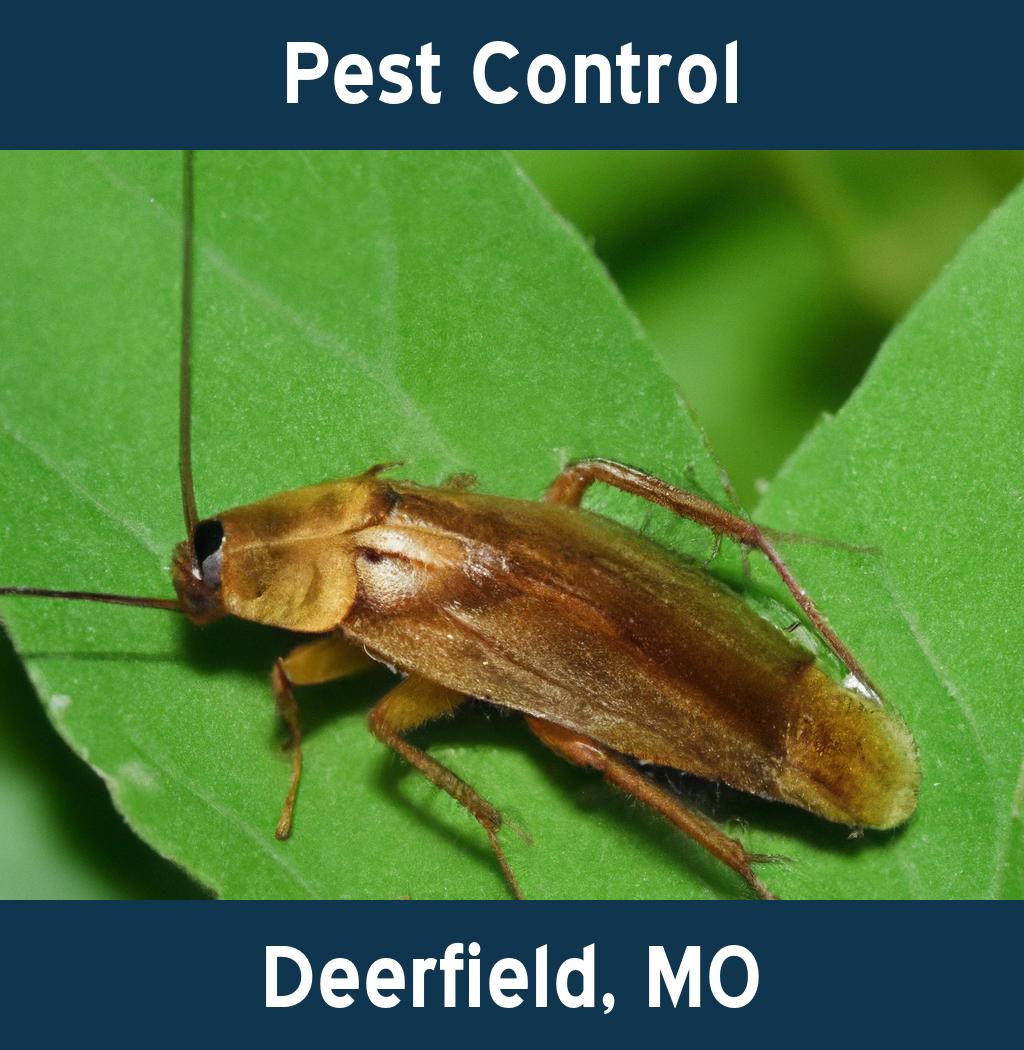 pest control in Deerfield Missouri