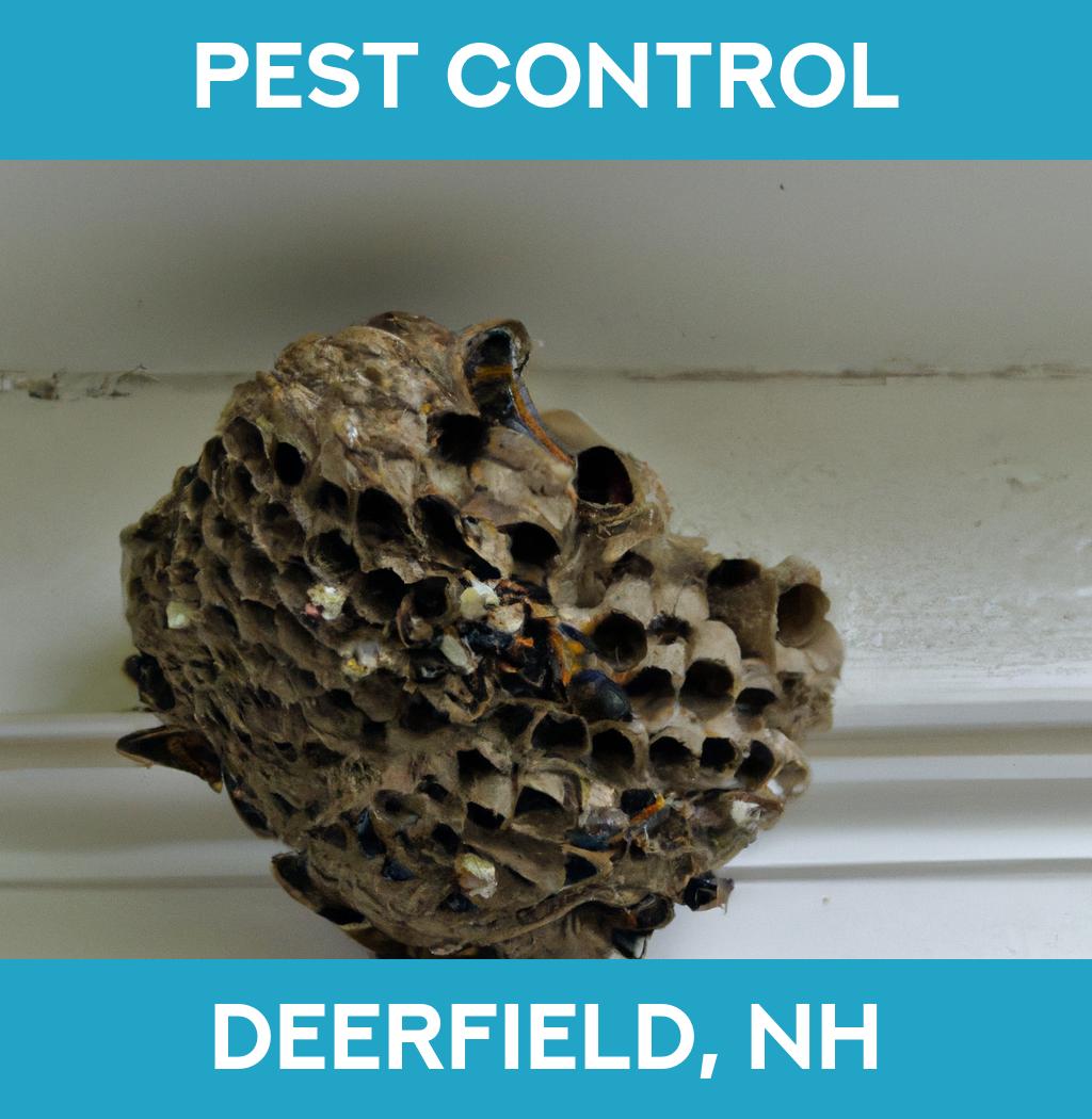 pest control in Deerfield New Hampshire