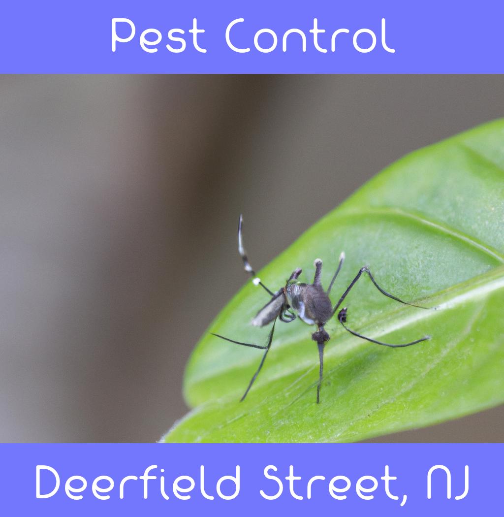 pest control in Deerfield Street New Jersey