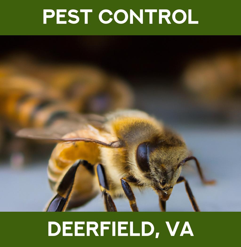 pest control in Deerfield Virginia
