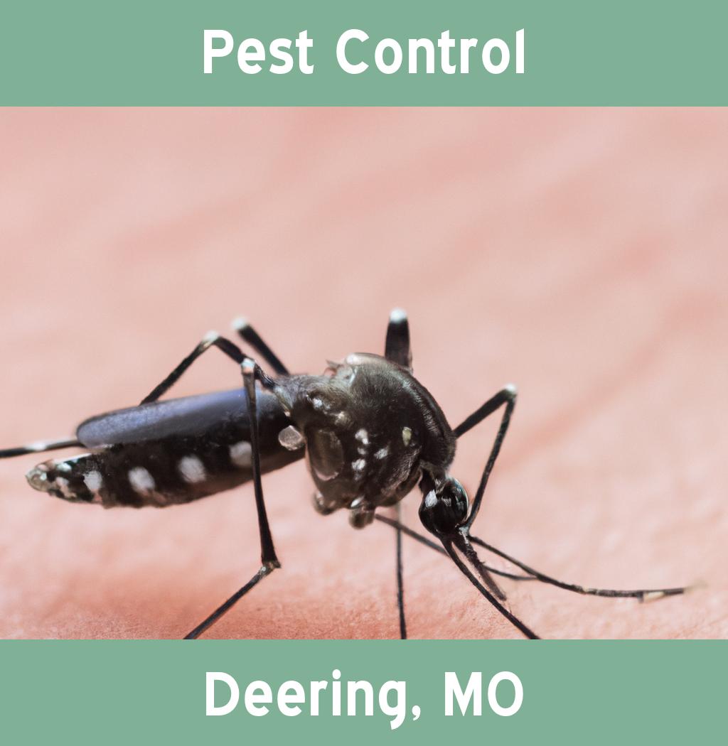 pest control in Deering Missouri