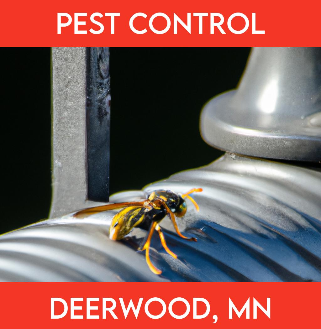 pest control in Deerwood Minnesota