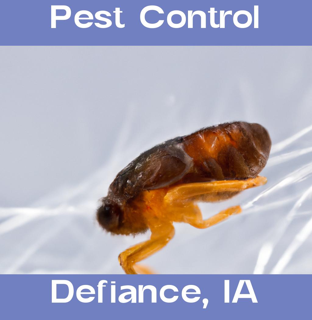 pest control in Defiance Iowa