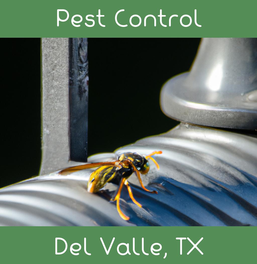 pest control in Del Valle Texas