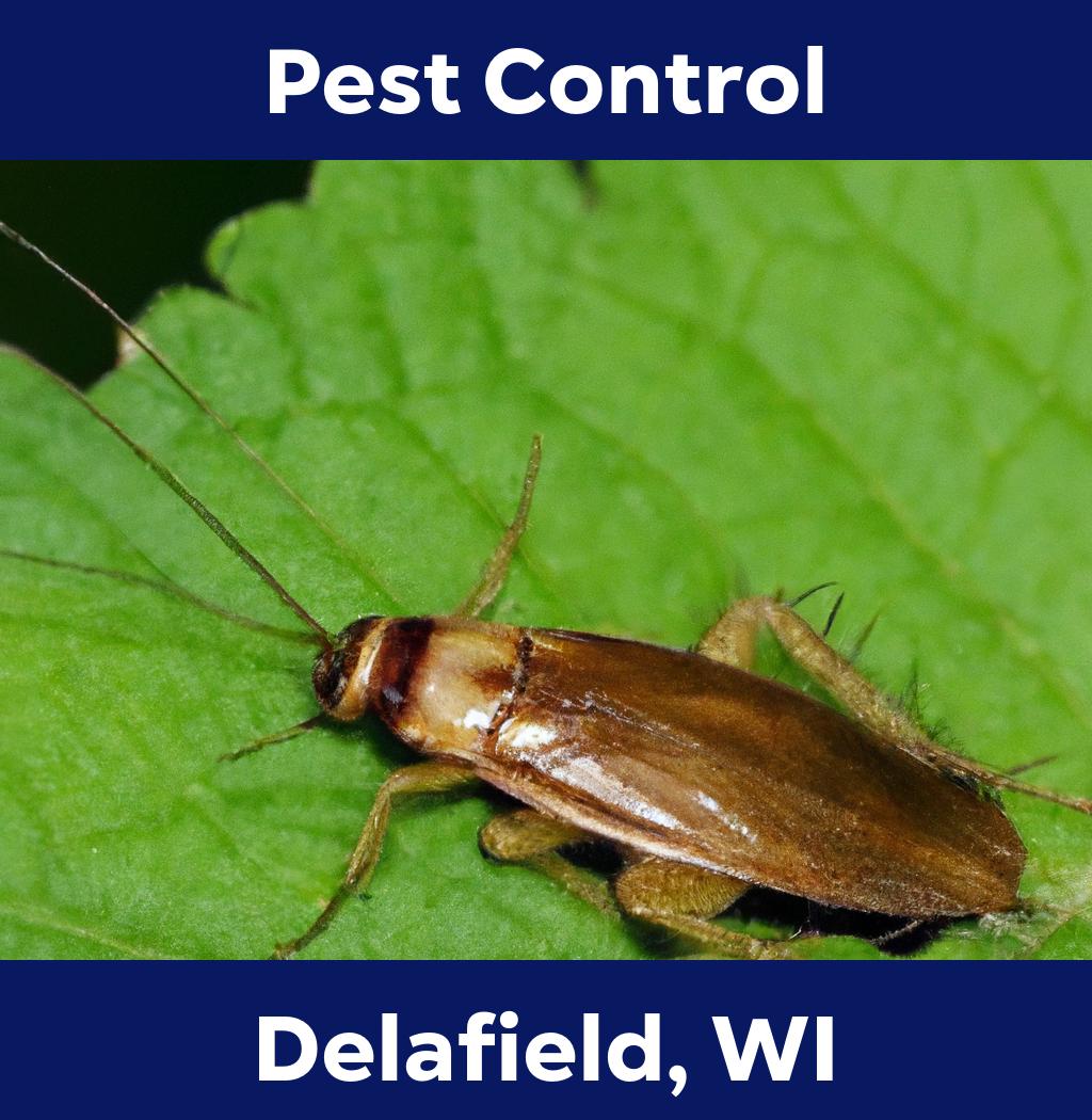 pest control in Delafield Wisconsin