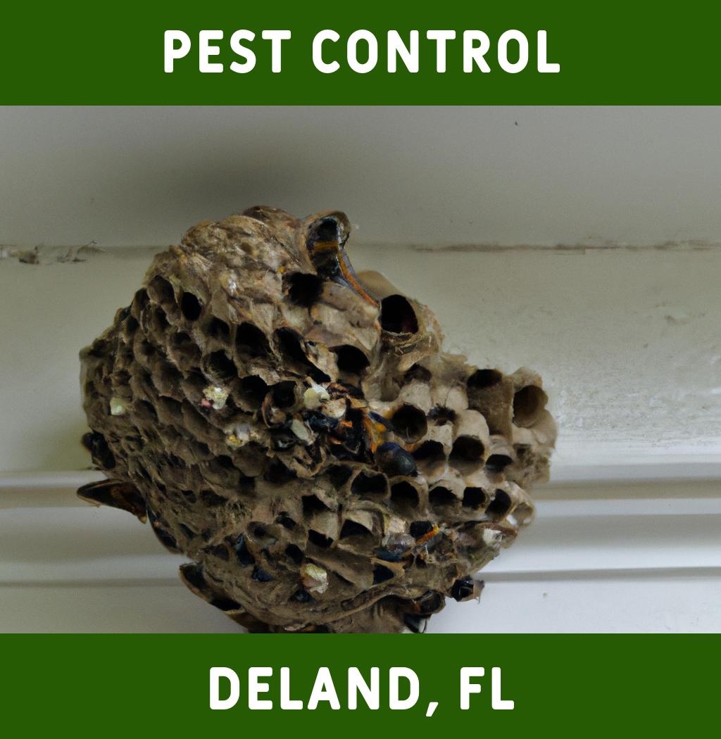 pest control in Deland Florida