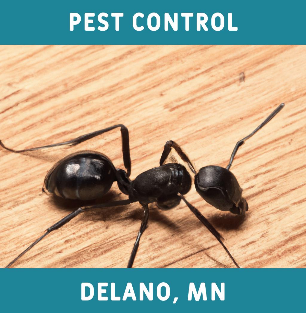 pest control in Delano Minnesota