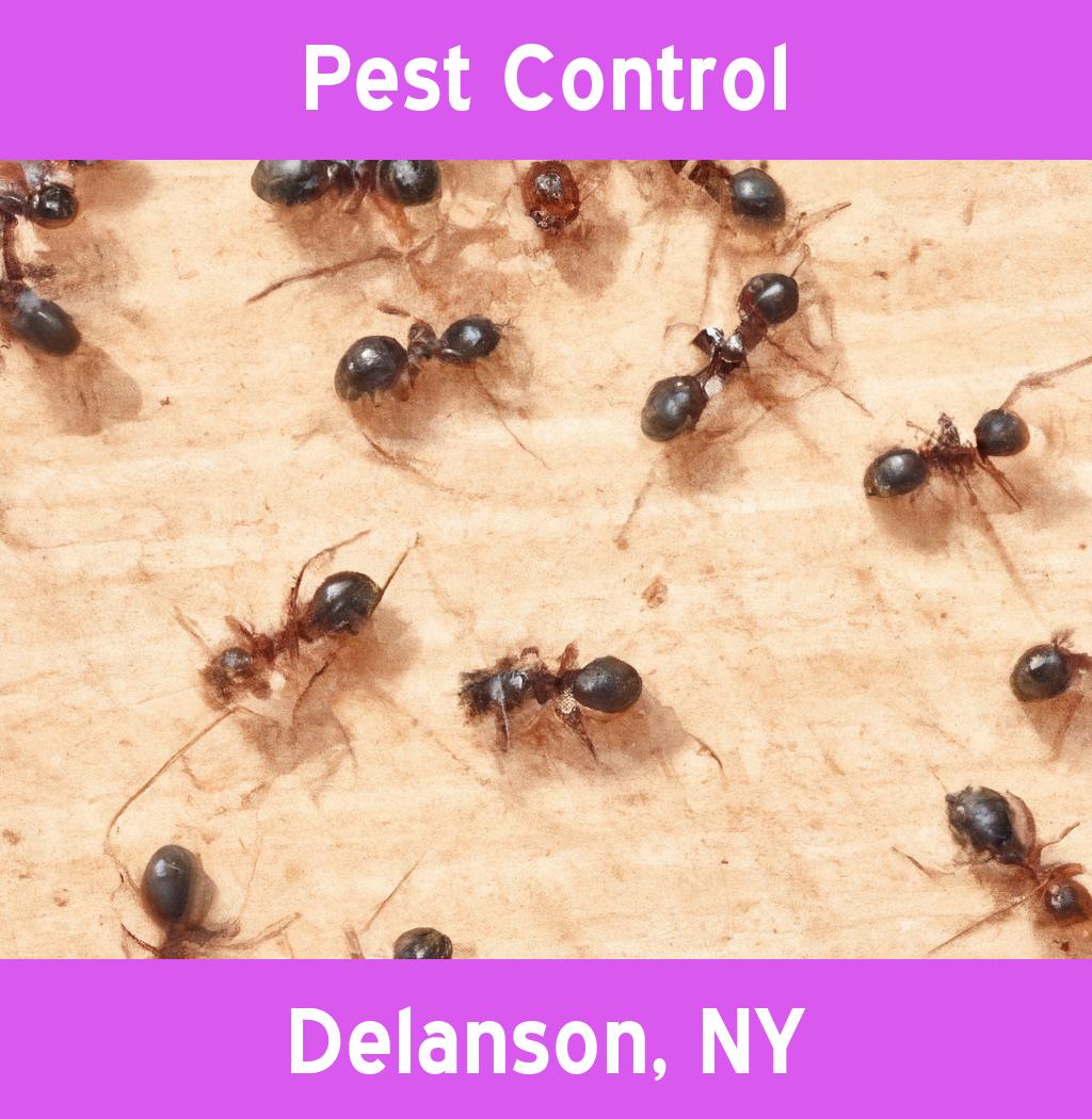 pest control in Delanson New York