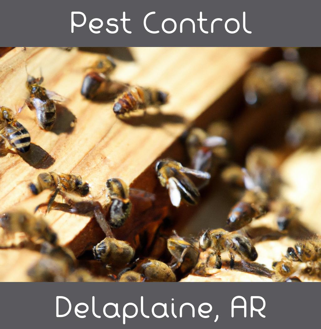 pest control in Delaplaine Arkansas