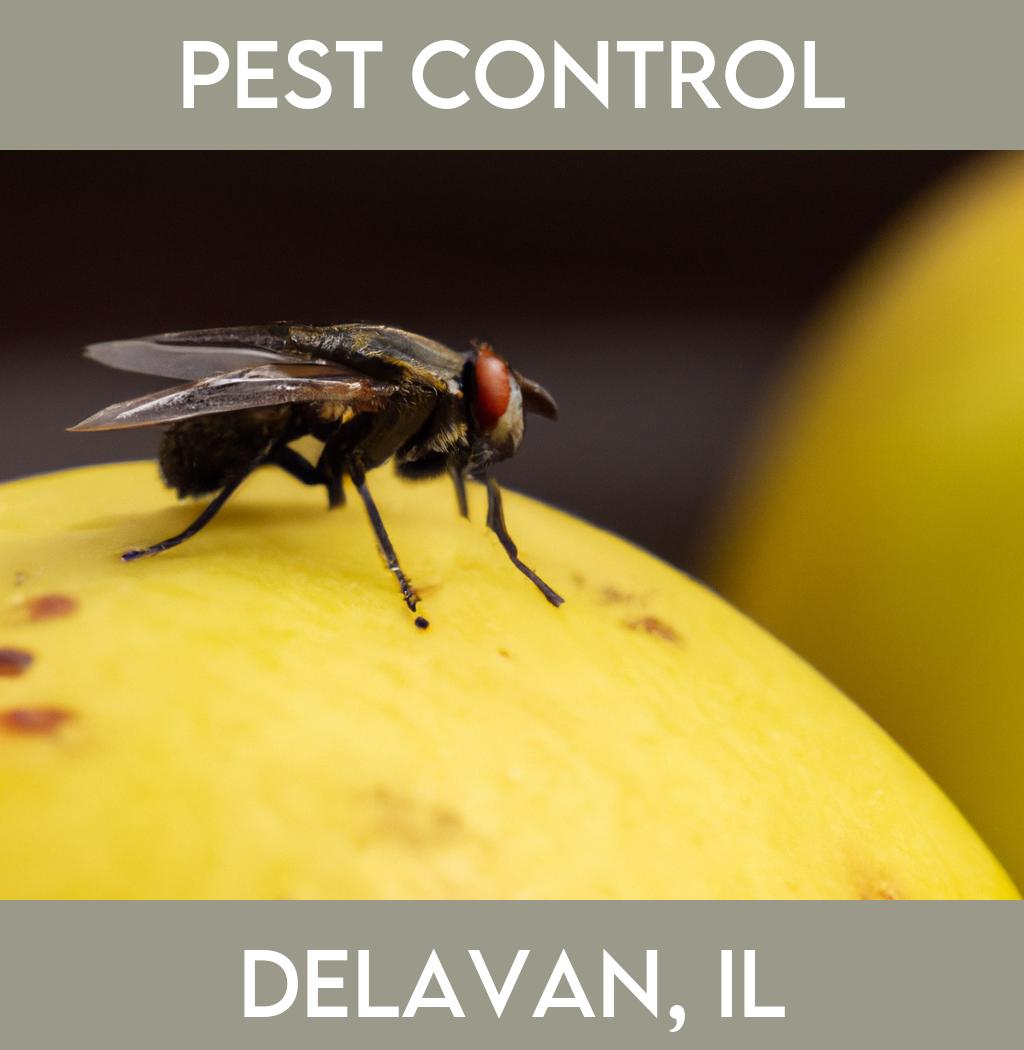 pest control in Delavan Illinois