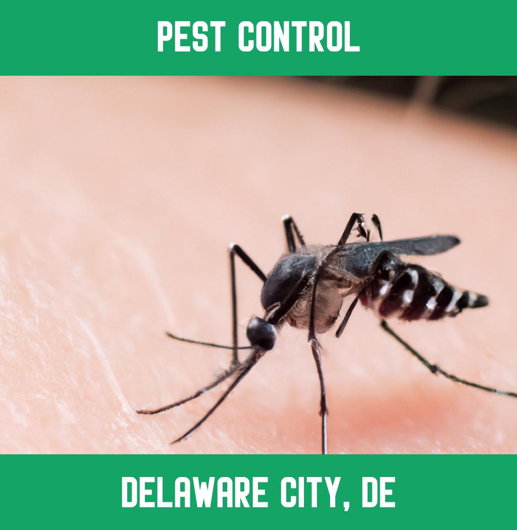 pest control in Delaware City Delaware