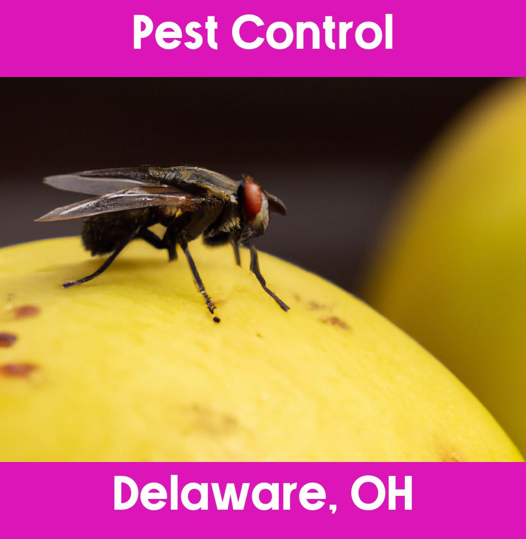 pest control in Delaware Ohio