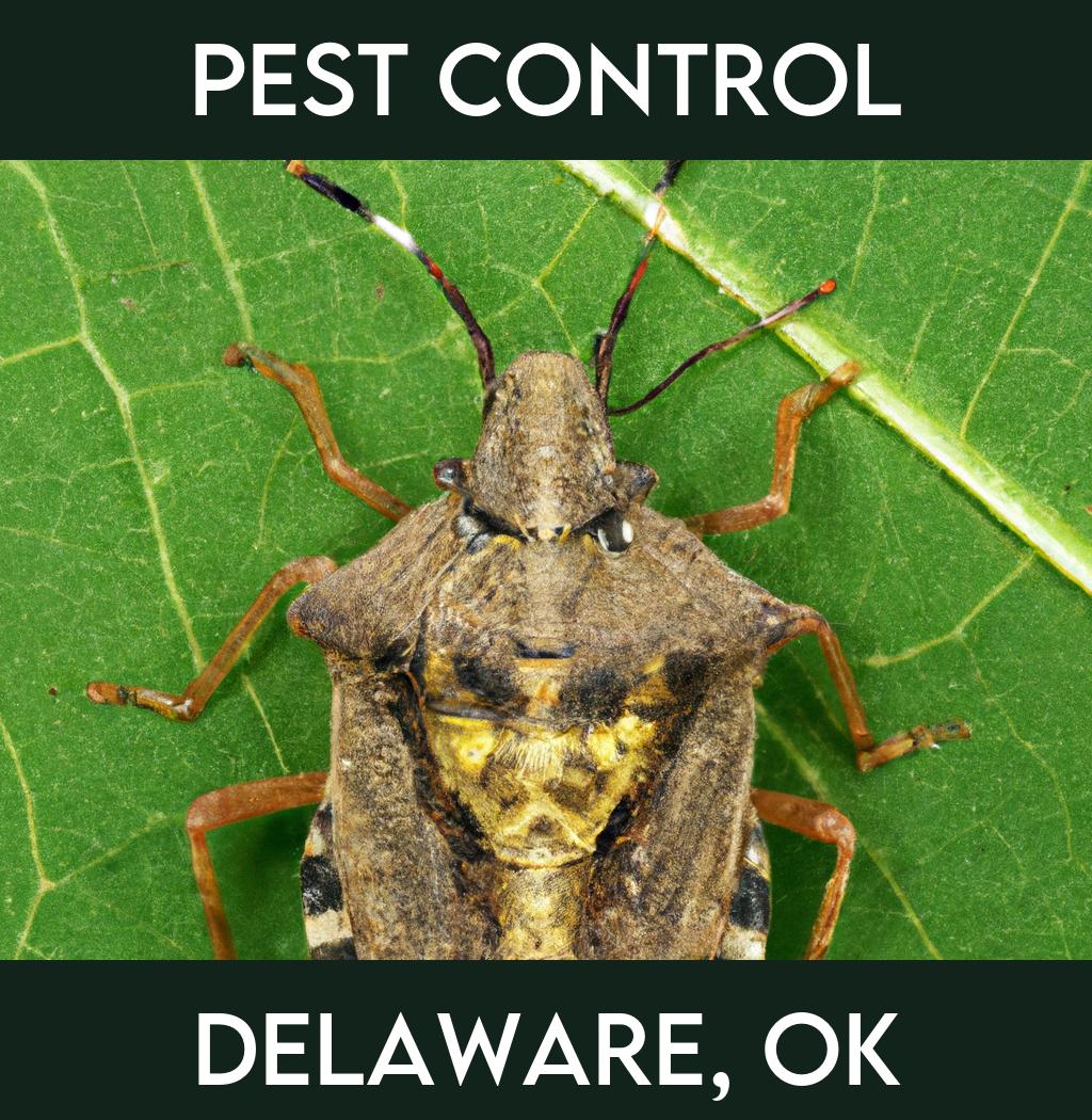 pest control in Delaware Oklahoma