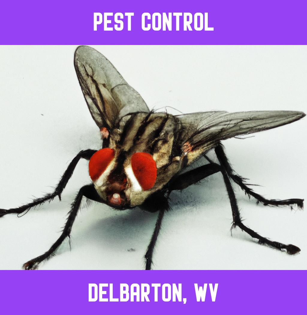 pest control in Delbarton West Virginia