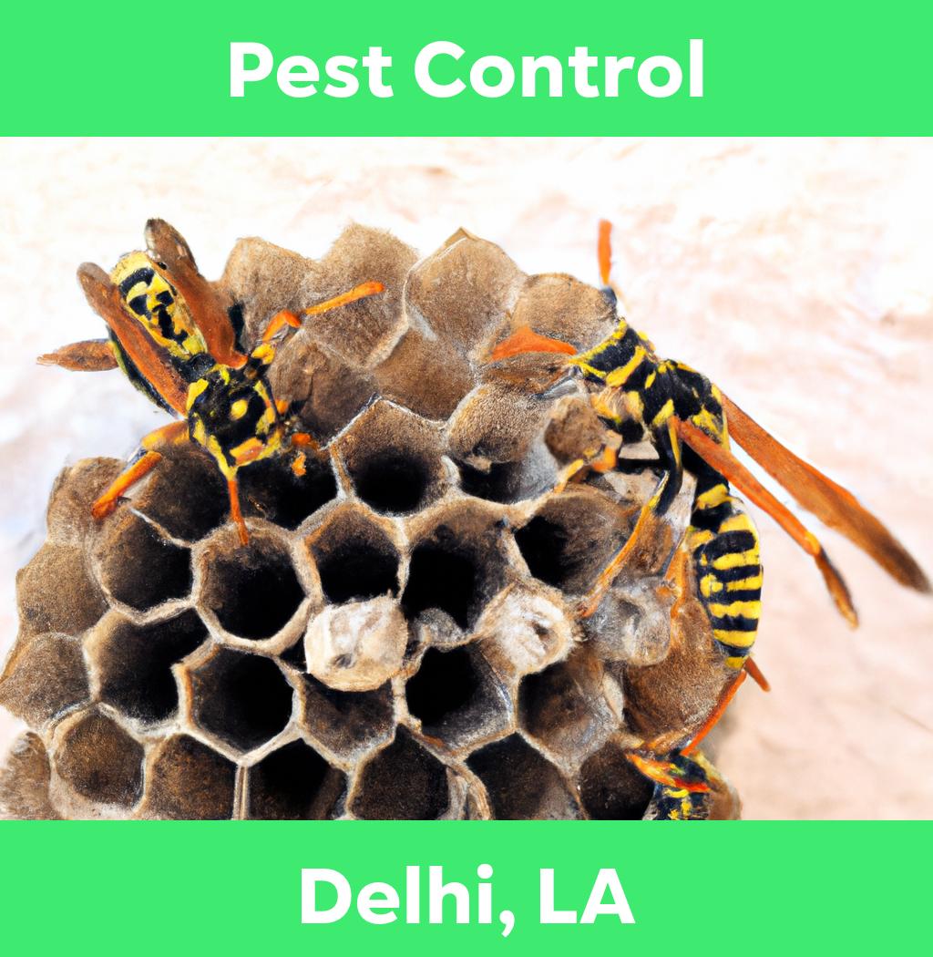 pest control in Delhi Louisiana