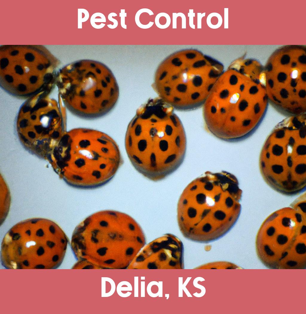 pest control in Delia Kansas