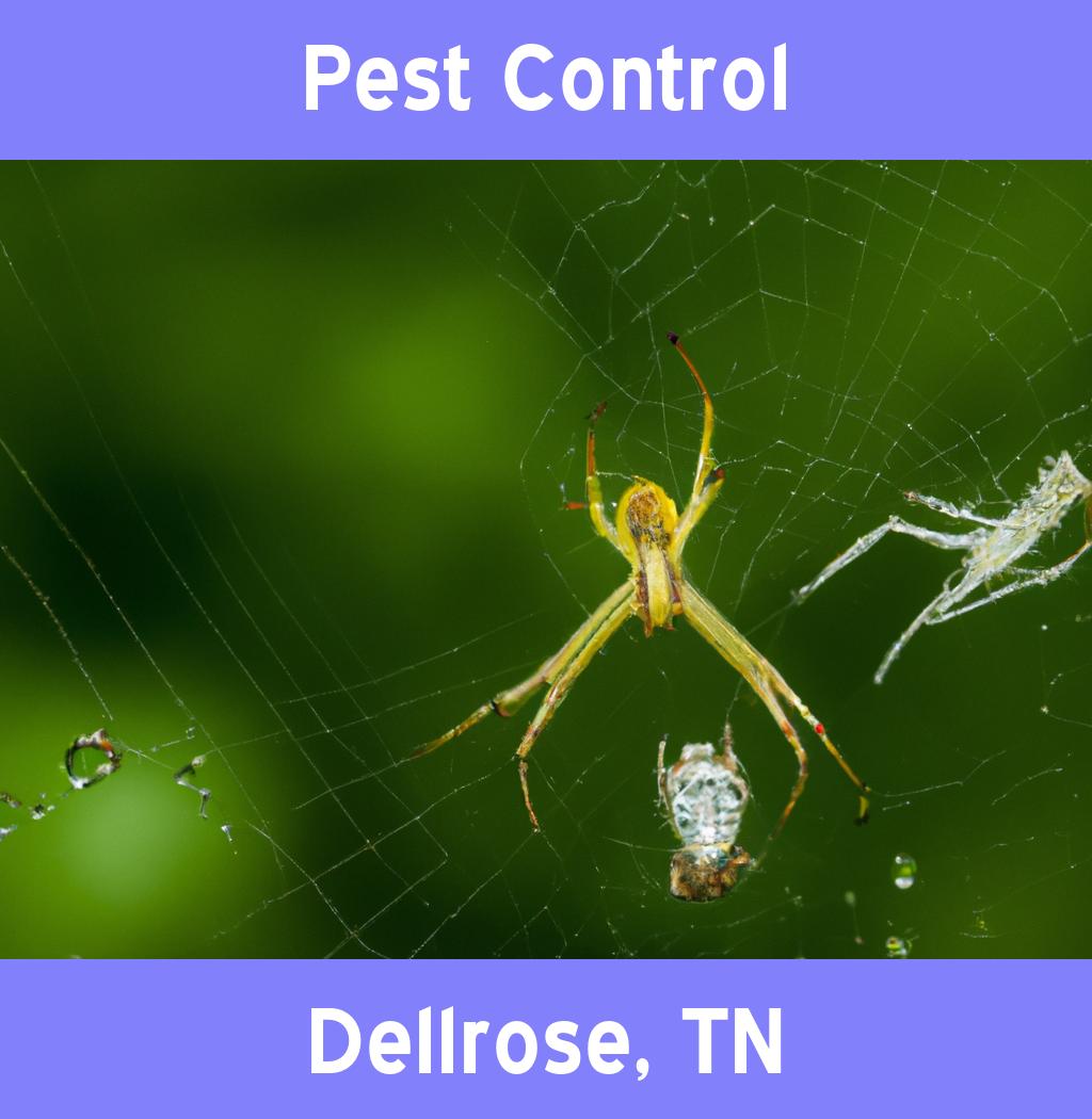 pest control in Dellrose Tennessee