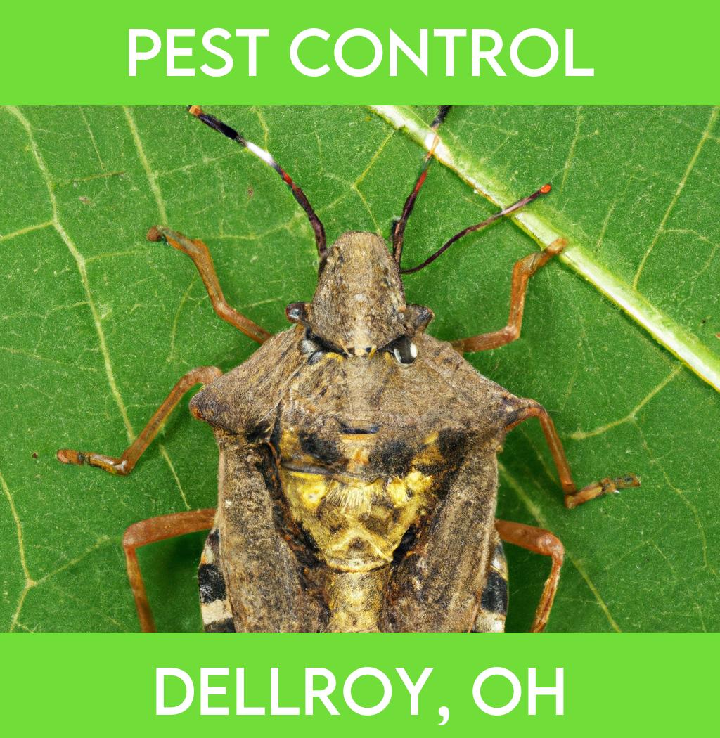 pest control in Dellroy Ohio